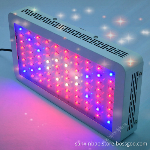 Evergrow LED Grow Light Used by Hydroponic & Garden Centers